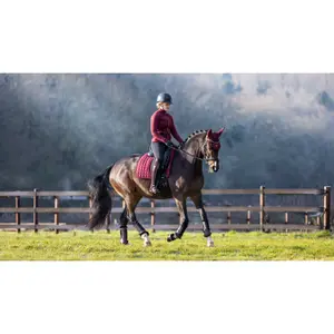 Dressage mat for horses LeMieux Loire Memory image-0
