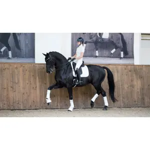 Mantilla equitación de doma  LeMieux Loire Memory image-0