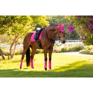 Dressage mat for horses LeMieux Loire Memory image-0