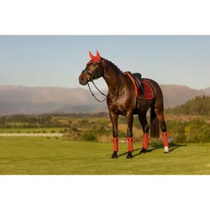 Tapis de dressage pour cheval LeMieux Loire Memory image-1