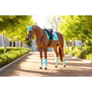 Dressage saddle pad  LeMieux Loire Classic image-0