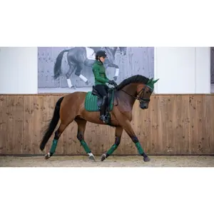Dressage saddle pad  LeMieux Loire Classic image-1