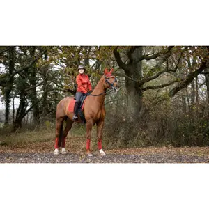 Tapis de dressage pour cheval LeMieux Loire Classic image-1