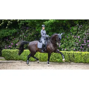 Σαμάρι ιππασίας LeMieux Loire Classic image-0
