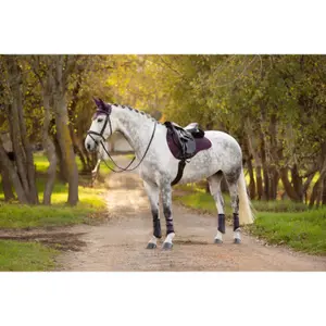 Cso mat LeMieux GP Square image-1