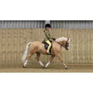 Saddle pad for horses LeMieux Merino+ Show Numnah image-0