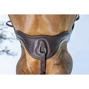 Sangle anatomique pour cheval en cuir LeMieux Gel-Tek image-1