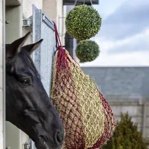 Hay net LeMieux Hippo image-1