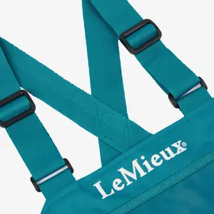 Wedstrijd slabbetje LeMieux image-2