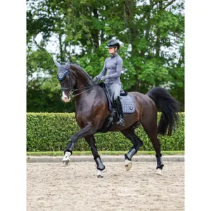 Front closed horse boots LeMieux Twilight image-1