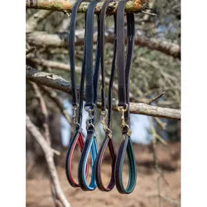 Dog leash LeMieux Windsor image-2