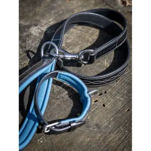 Dog leash LeMieux Windsor image-1