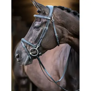 Träns för ridning LeMieux Work image-3