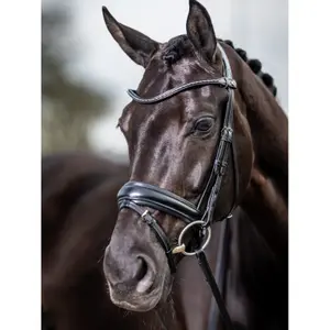 Riding Bridle LeMieux Classic image-1