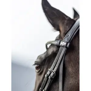 Riding Bridle LeMieux Classic image-2