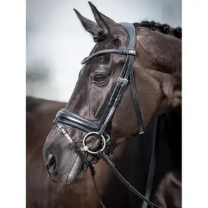 Riding Bridle LeMieux Classic image-3