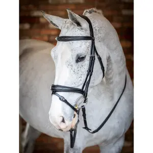 Briglia per cavalli LeMieux Competition Flash image-1