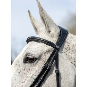 Briglia per cavalli LeMieux Competition Flash image-3