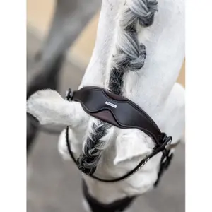 Riding Bridle LeMieux Classic image-4