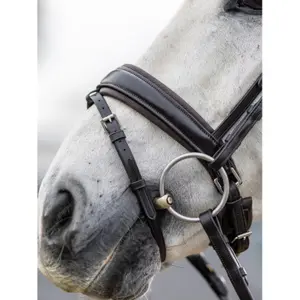 Riding Bridle LeMieux Classic image-3