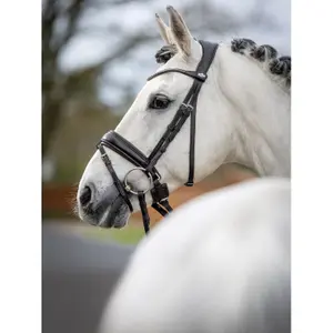 Riding Bridle LeMieux Classic image-2