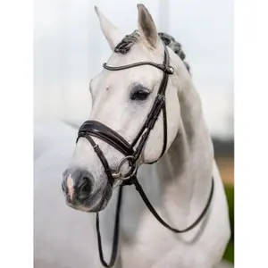 Riding Bridle LeMieux Classic image-1