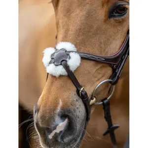 Trensenzaum mit gekreuztem Nasenriemen LeMieux Grackle Havana image-2