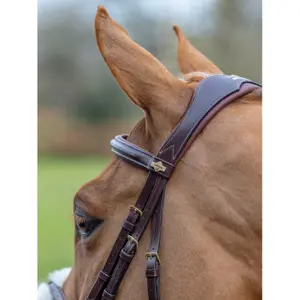 Trensenzaum mit gekreuztem Nasenriemen LeMieux Grackle Havana image-3
