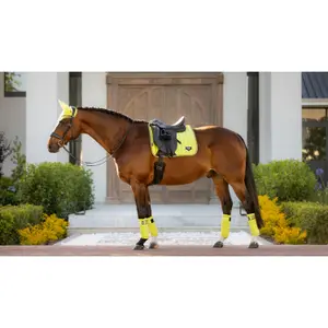 Tapis de dressage pour cheval LeMieux Loire Classic image-0