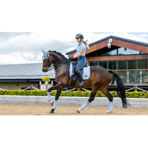Dressage mat for horses LeMieux Loire Classic image-1