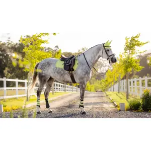Suede horse saddle pad LeMieux GP image-0
