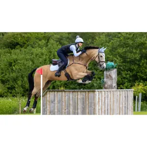 Suede horse saddle pad LeMieux Close Contact image-0