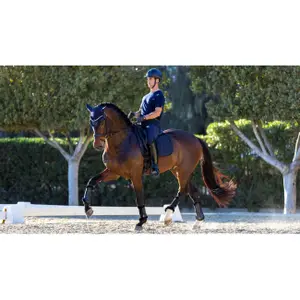 Sottosella dressage LeMieux Le Cool Grip image-1