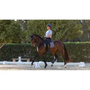 Dressage saddle pad  LeMieux Le Cool Grip image-1