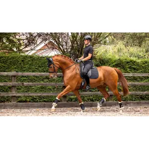 Antislip dressuurmat voor paarden LeMieux Soft Shell image-0