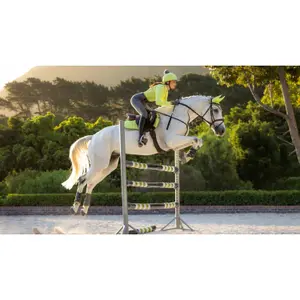 Saddle pad for horses LeMieux Loire Classic GP image-0