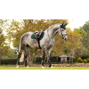 Suede horse saddle pad LeMieux GP image-0