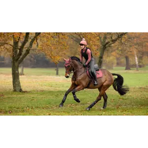 Suede horse saddle pad LeMieux Close Contact image-0