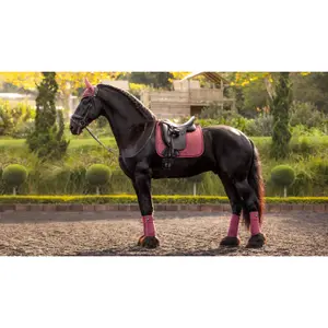 Dressage mat for horses LeMieux Suede image-0