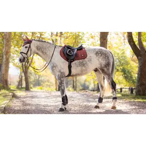 Cso mat LeMieux Loire Classic Close Contact image-3