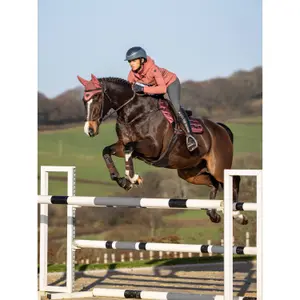 Cso mat LeMieux Loire Classic Close Contact image-2