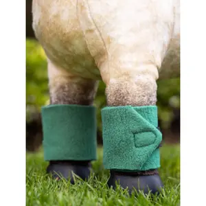 Bandes d'équitation pour poney enfant LeMieux image-1