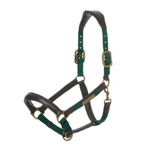 LeMieux Capella horse halter image-0