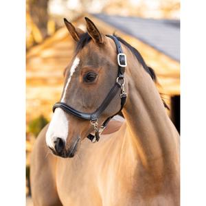 Leather halter for horses LeMieux Grooming image-2