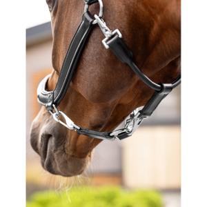 Leather halter for horses LeMieux Grooming image-3