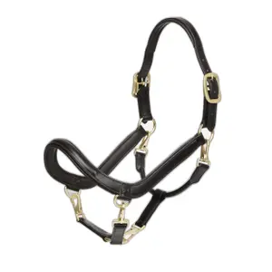 Leather halter for horses LeMieux Grooming