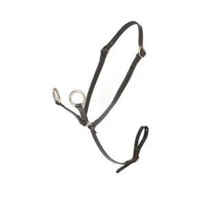 Pony martingale LeMieux