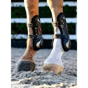 Open front gaiters for horses LeMieux Exo Flex image-3