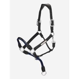 it03442-halfter-lemieux-rope-control-schwarz