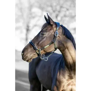 Halter for horse LeMieux reins Control image-1